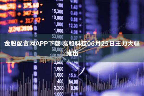 金股配资网APP下载 泰和科技06月25日主力大幅流出