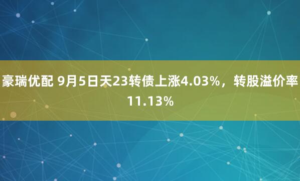 豪瑞优配 9月5日天23转债上涨4.03%，转股溢价率11.13%