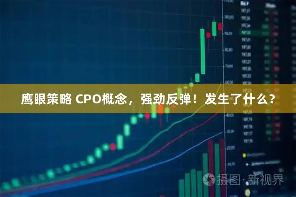 鹰眼策略 CPO概念，强劲反弹！发生了什么？