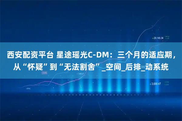 西安配资平台 星途瑶光C-DM：三个月的适应期，从“怀疑”到“无法割舍”_空间_后排_动系统